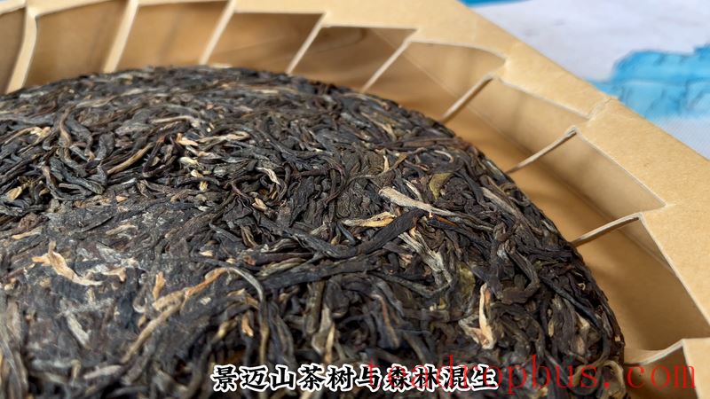 How to Brew Jingmai Mountain Pu'er Tea for a Great Taste?-4