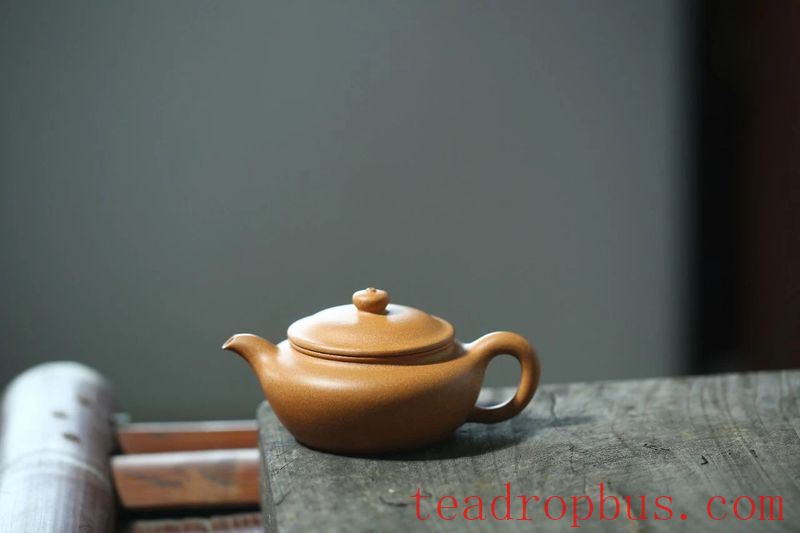 What's the Difference Between a Novice and an Experienced Player in Enjoying Purple Clay Teapots?-4