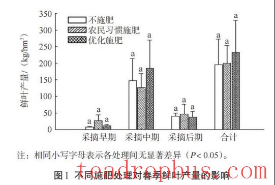 How can fertilization improve the yield, quality, and economic benefits of spring tea?-3