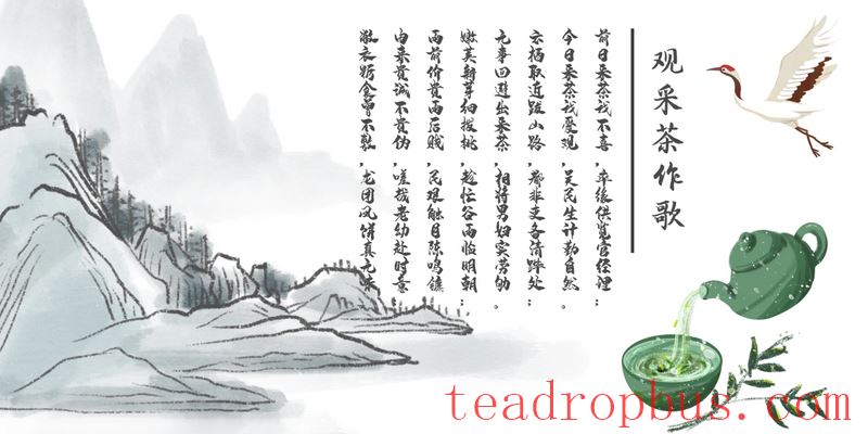 In Search of Longjing • Questioning the Tea of Shifeng: Did Emperor Qianlong Make Four Trips South Just to Find 