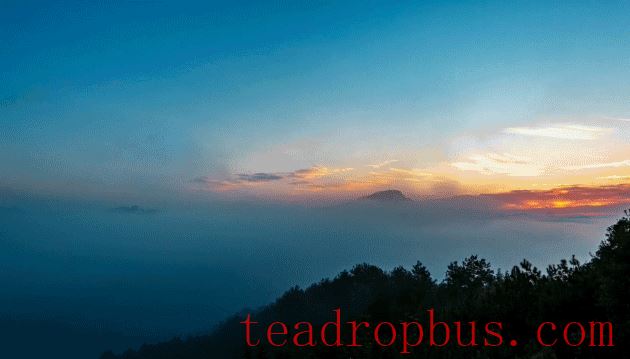 A Taste of Wuyi's Scenery in a Cup of Clear Tea-1