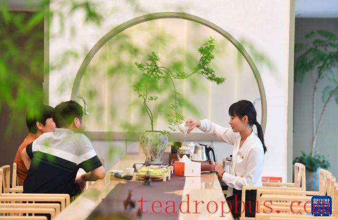 Fujian's Mountains Yield Tea Leaves, Scent Travels Thousands of Miles-1