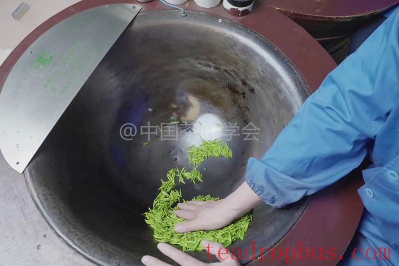 Intangible Cultural Heritage of Humanity: Traditional Chinese Tea Processing Skills - Green Tea Chapter ① – West Lake Longjing-6