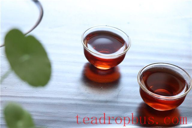 Benefits of Drinking Pu'er Tea Long-Term-3