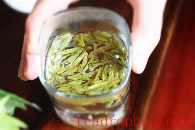 Correct Method of Drinking Green Tea-3