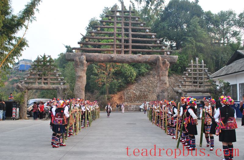 Come to Yunnan, and Experience the Unique Charm of Tea-8