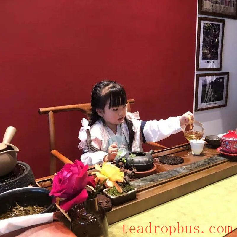 Gaiwan – The Gateway to Tea Artistry-1