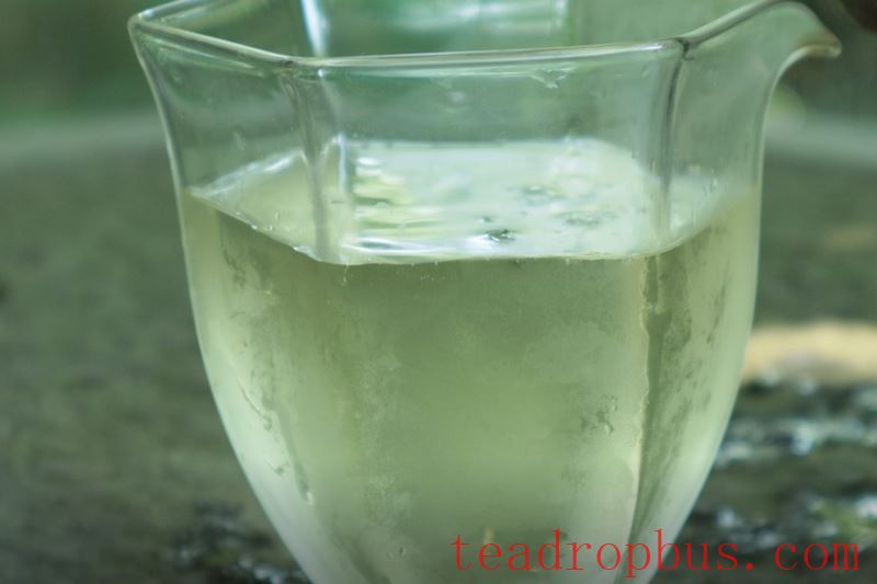 Exploring Various Brewing Methods for White Tea-3