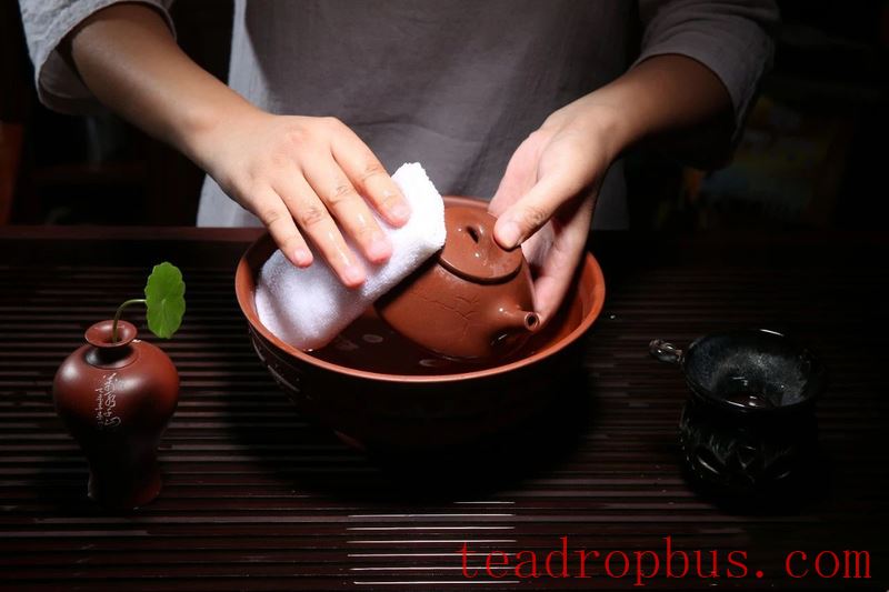 Nourishing a Teapot: How Long Does It Take to See Results?-6