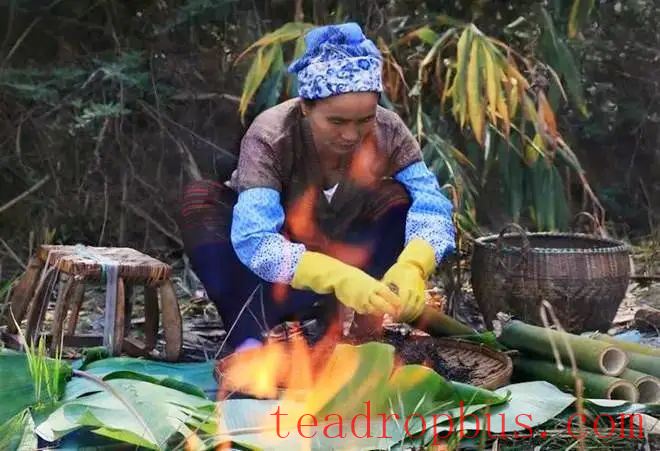The Processing and Production of Hani Tea-4