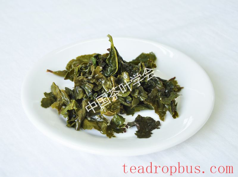 Intangible Cultural Heritage of Humanity: Traditional Chinese Tea Processing Skills - Chapter ① on Oolong Tea – Tieguanyin-11