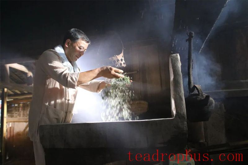 Perseverance and Innovation since 2000: The National Intangible Cultural Heritage — Traditional Mongshan Tea Making Skills-10