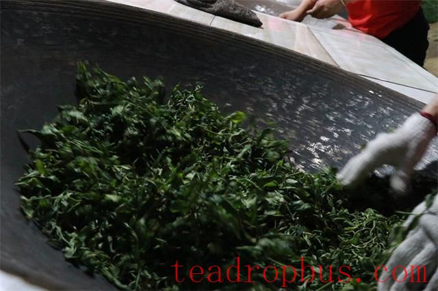 Kill-green: The Prelude to the Metamorphosis from Fresh Leaf to Tea-2
