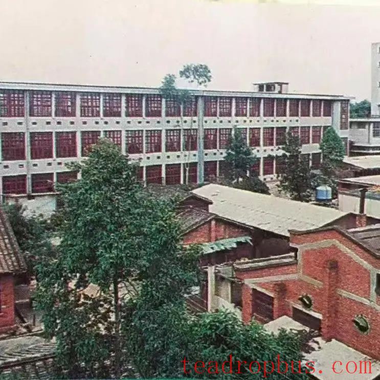 Zhangzhou Tea Factory: A Brand of Memories-2