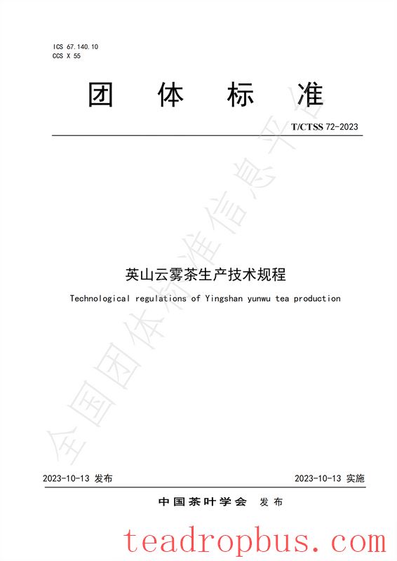 Group Standard T/CTSS 72-2025 