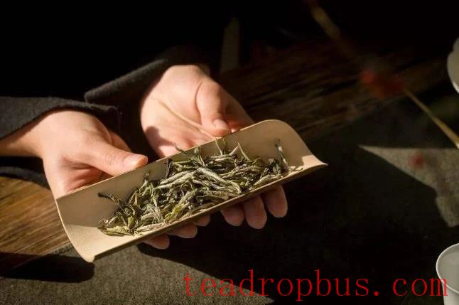 What is the Healthiest Temperature for Drinking Fuding White Tea?-3