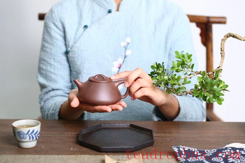 What's the Difference Between a 300 Yuan and a 30,000 Yuan Purple Clay Teapot?-6
