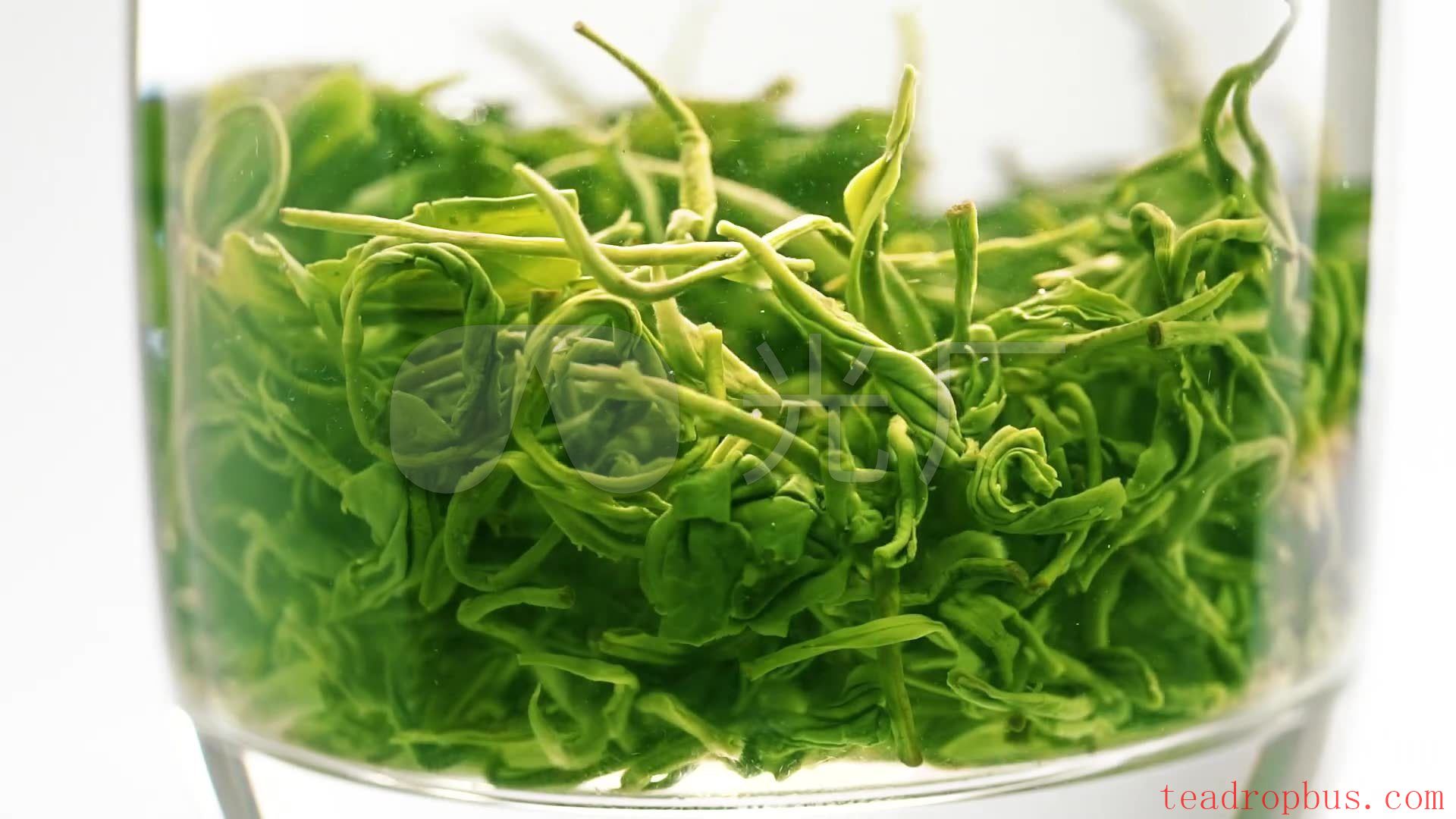 How to Brew Tea? A Simple Guide and Expert Tips-4