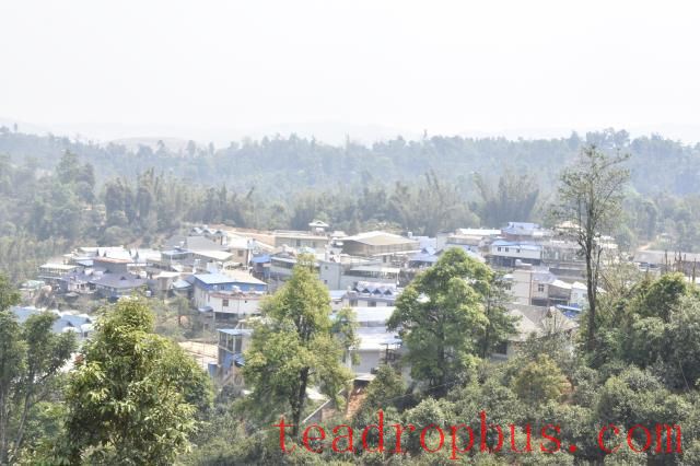 To which tea region does Bulang Mountain belong?-3