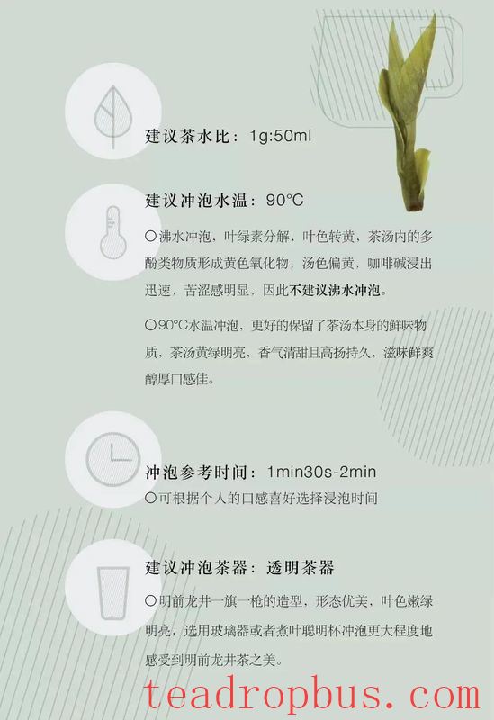 A Cup of Longjing Tea, Sipping the Verdant South!-7