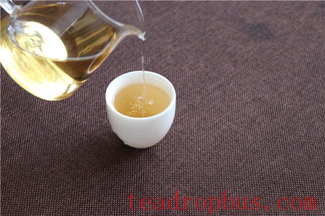 A Millennium Dream Traversed by the Fragrant Tea, Weaving Lives Across Time-1