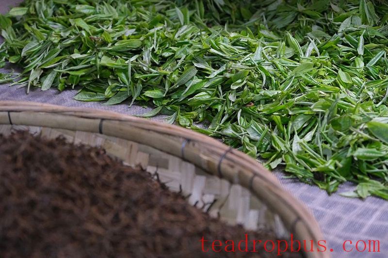The legacy of Fengqing Dianhong is not just a skill, but also the inheritance of simplicity and passionate emotion.-9