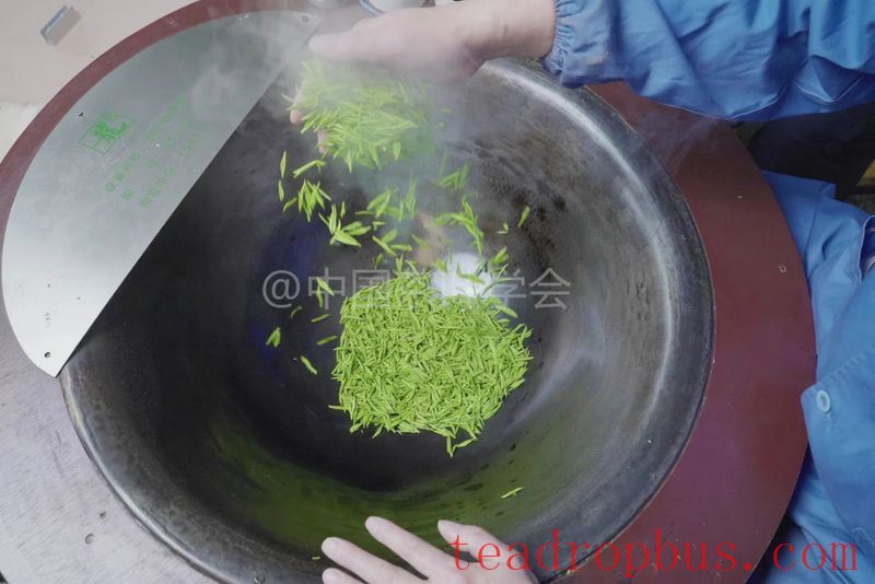 Intangible Cultural Heritage of Humanity: Traditional Chinese Tea Processing Skills - Green Tea Chapter ① – West Lake Longjing-11