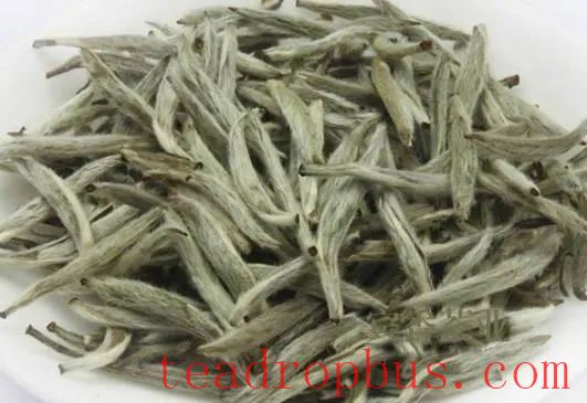 Why Start Drinking White Tea with Shoumei?-2
