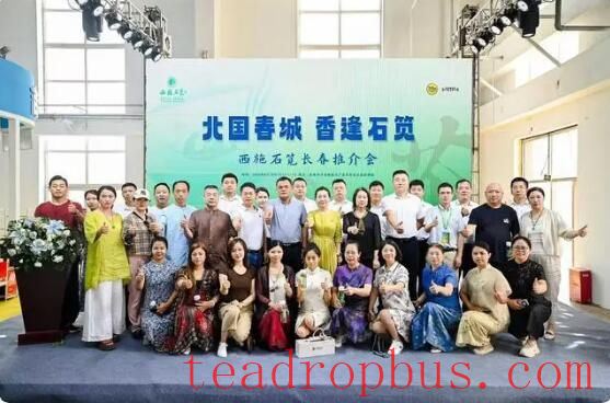 A Millennium of Agricultural Civilization: The Fragrance of Xishi Shidian Tea in Changchun-2