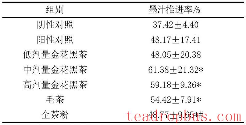 The Liu Zhonghua Academy Team Discusses the Gastrointestinal Regulation Efficacy of Anhua Dark Tea-2
