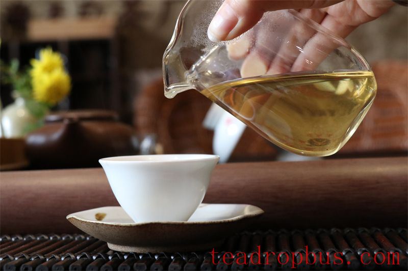 What Does It Feel Like to Experience Salivation When Drinking Tea?-1