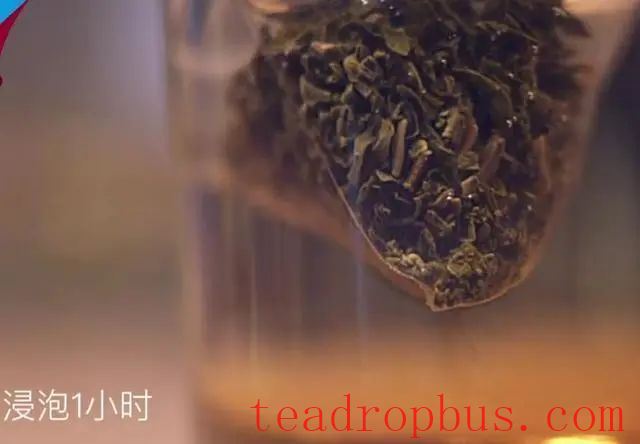 Tea + Cocktails-16