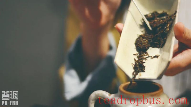 Talking Over a Cup of Pu'er: Exploring the Details of Pu'er Tea Production-2