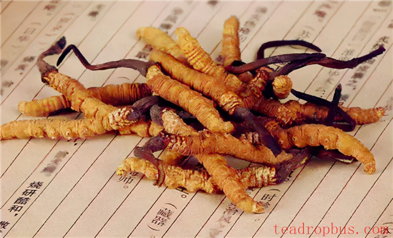 Brewing Method and Benefits of Cordyceps Tea-4