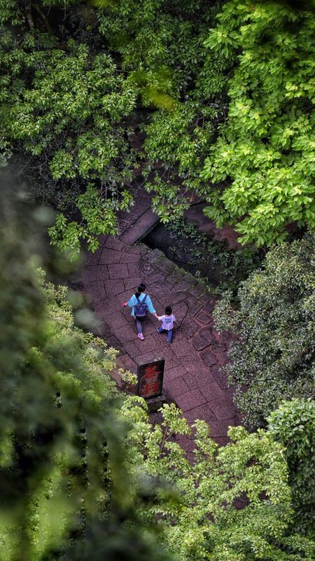 Tea Tour: The First Thrills of Summer Lie Hidden in the Aroma of Mountainside Tea...-2