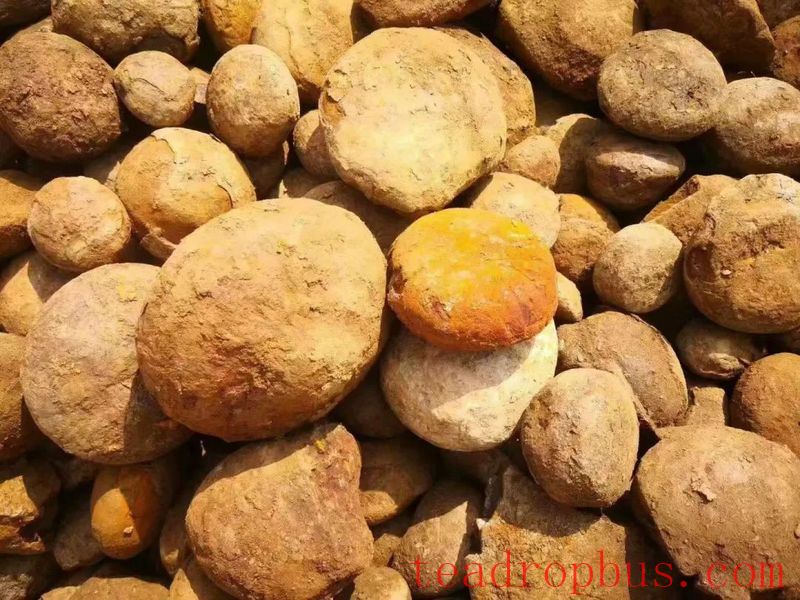 The Rare Gem in Purple Clay Mud—Stone Yellow + Stone Red-3