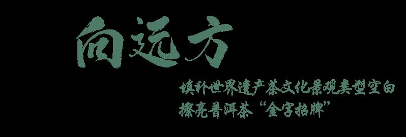 You Natively Born, Self-Directed Toward the Distance — A Series on the Journey of Jingmai Mountain's Bid for World Heritage Status ③-3