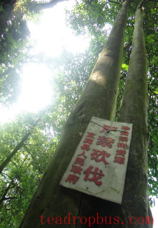 The History of Yibin's 
