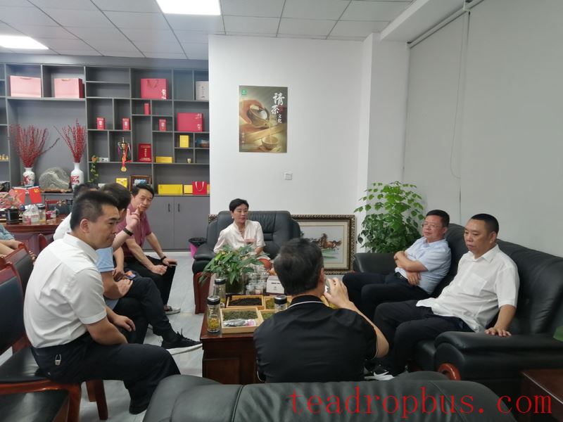 Tongren Municipal People's Congress Standing Committee Research Team Conducts Field Research on Ecological Tea Industry in Sinan County-1