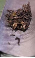2008-2014: National Standards Established, Mountain Heads Emerge, Rediscovery of the Large-Leaf Variety (Part I)-5