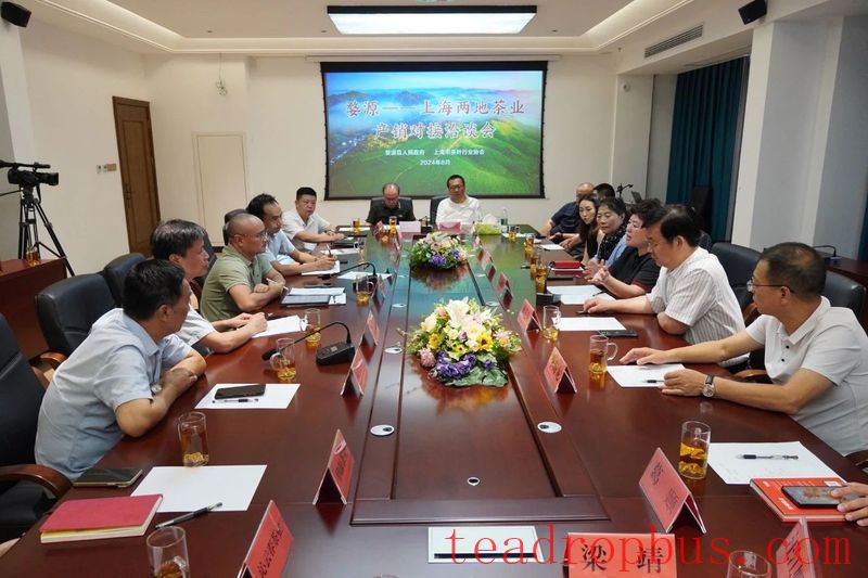 Meeting Over Tea, Plotting Development —— Shanghai Tea Industry Association Delegation Visits Wuyuan to Investigate the Tea Industry-6