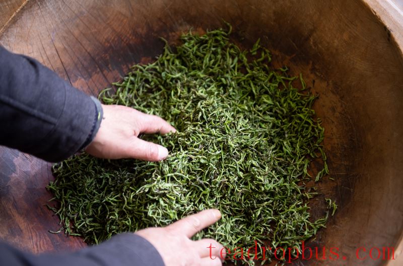 Processing Skills: The Key to Jin Jun Mei Black Tea Quality —— Innovative Processing Techniques of Jin Jun Mei Tea-6