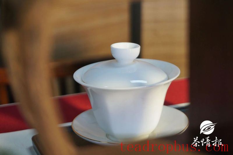 How Many Times Should Tea Be Infused to Avoid Waste?-1