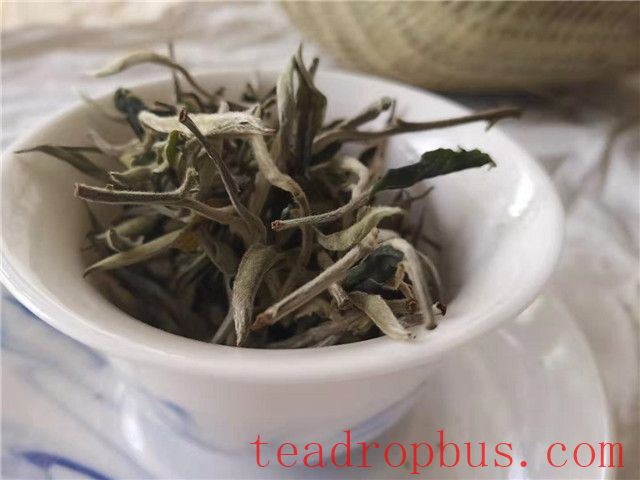 Brewing Method of Bai Mudan (White Peony Tea)-1