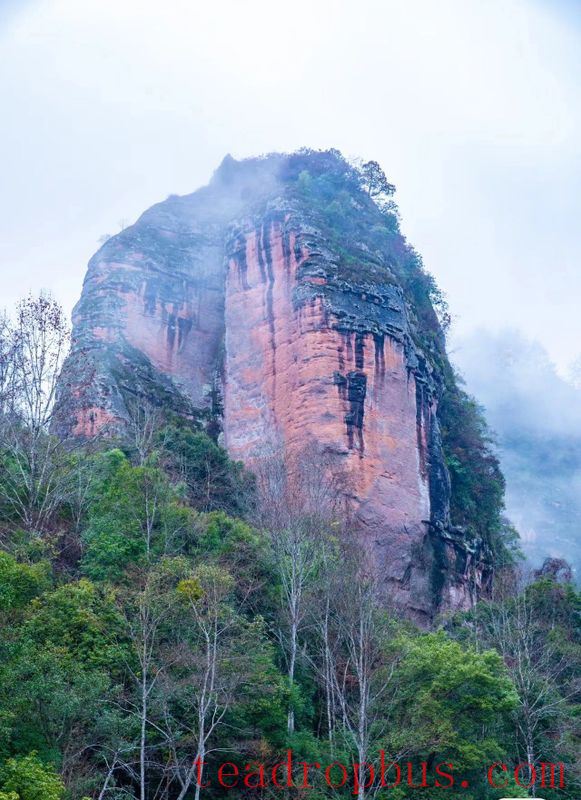 There are more Danxia landforms here than in Wuyishan, and they also produce Yancha!-4