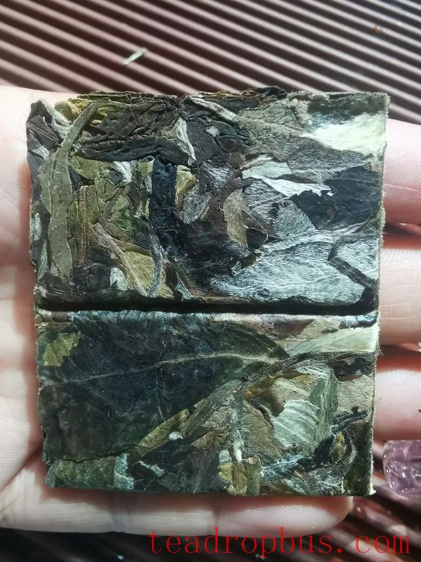 Lincang Tea's New Craft: Large-Leaf White Tea-5