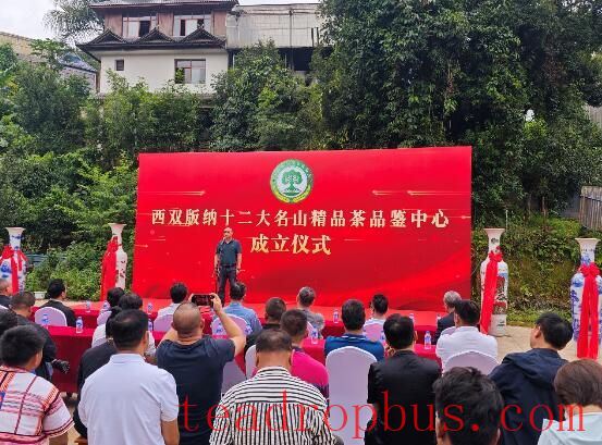 Xishuangbanna Prefecture Strengthens Its Renowned Tea Brand from Famous Mountains, Signaling a New Chapter in Rural Revitalization-4