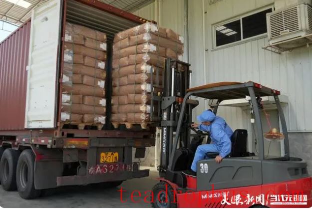 Selling at Higher Prices and Expanding into Better Markets! “Clean Guizhou Tea” Aims for the International Market-4