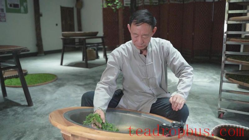 How is a high-quality Anji White Tea born?-8