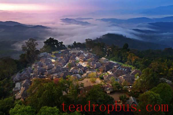 Come to Yunnan, and Experience the Unique Charm of Tea-3
